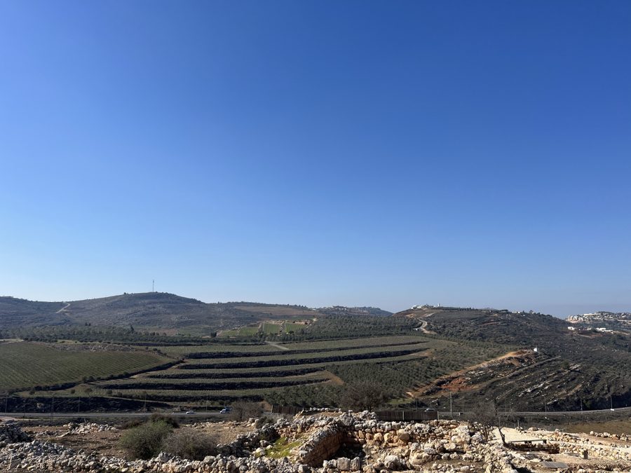 שְׂדֵה הָאִילָן